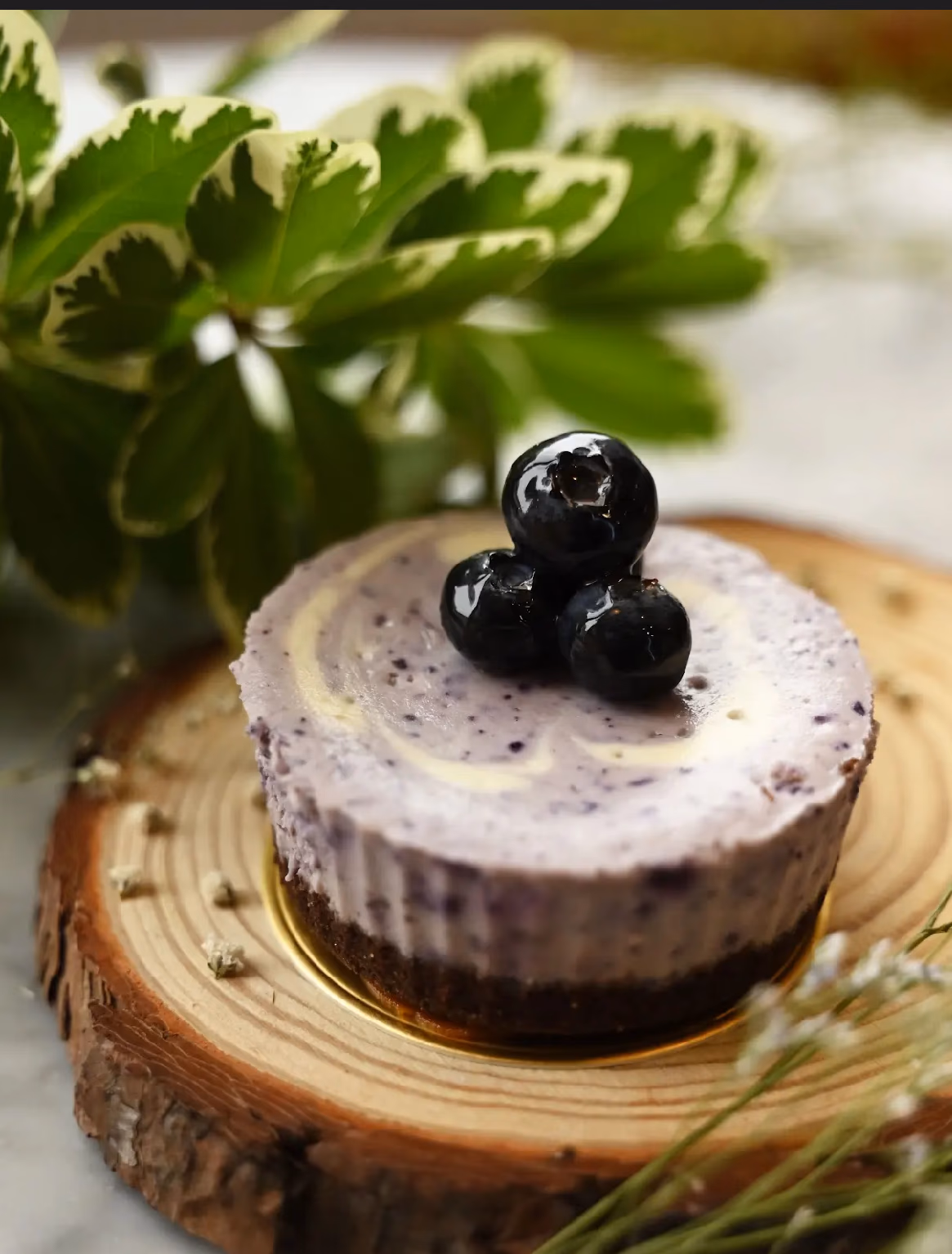 Blueberry cheesecake topped with fresh fruit