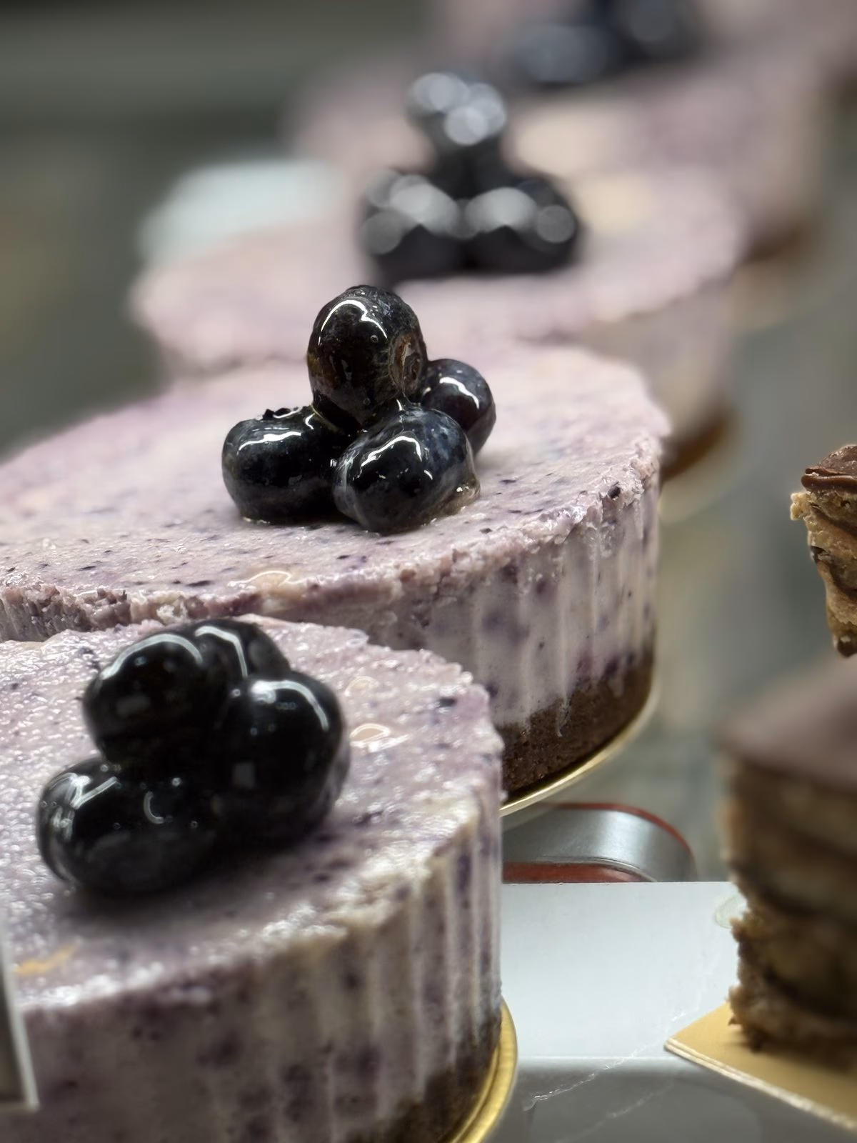 Blueberry cheesecakes topped with fresh blackberries