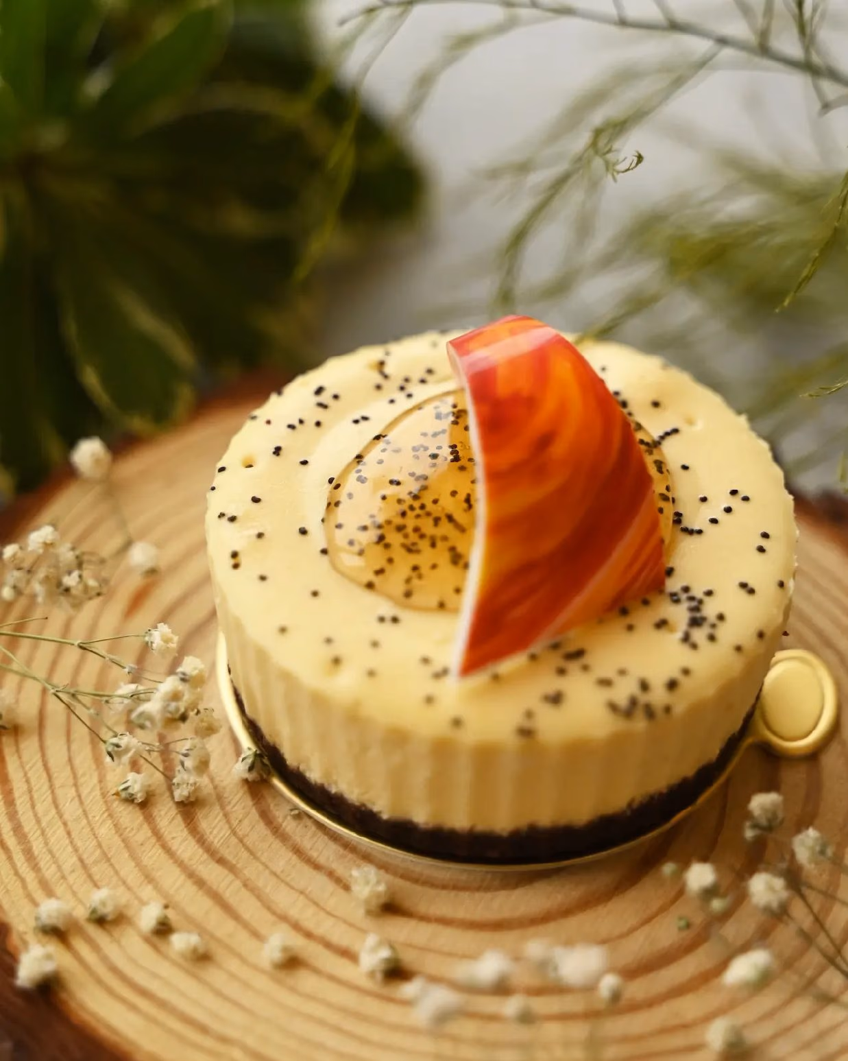 A vanilla cheesecake with poppy seeds and a fruit wedge
